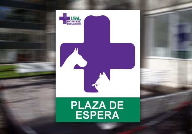 Plaza de espera - Hospital Escuela Veterinario