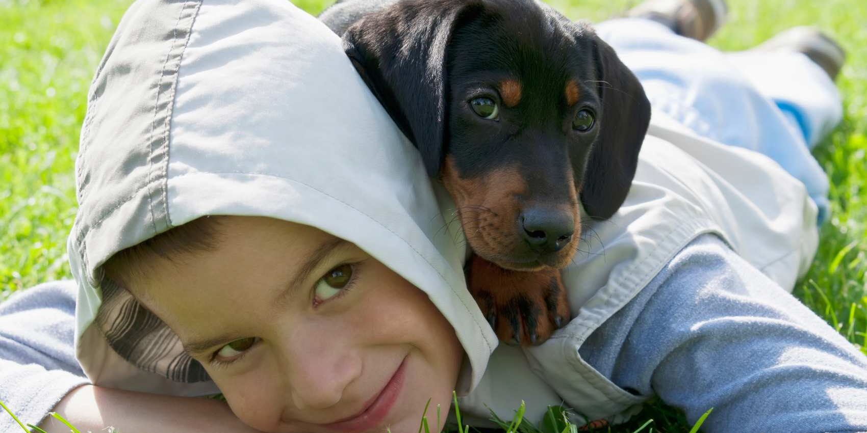 Cachorros fundacion hospital usal