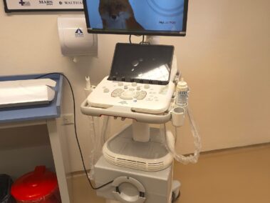 Fundacion USAL Hospital Escuela Veterinario