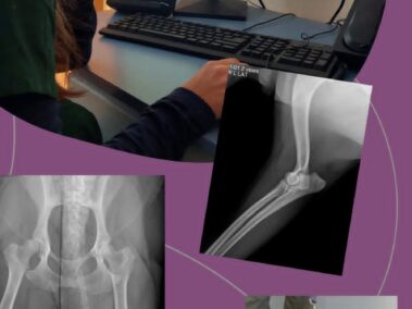 Fundacion USAL Hospital Escuela Veterinario